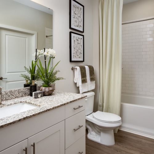 Bathroom options with thoughtful details